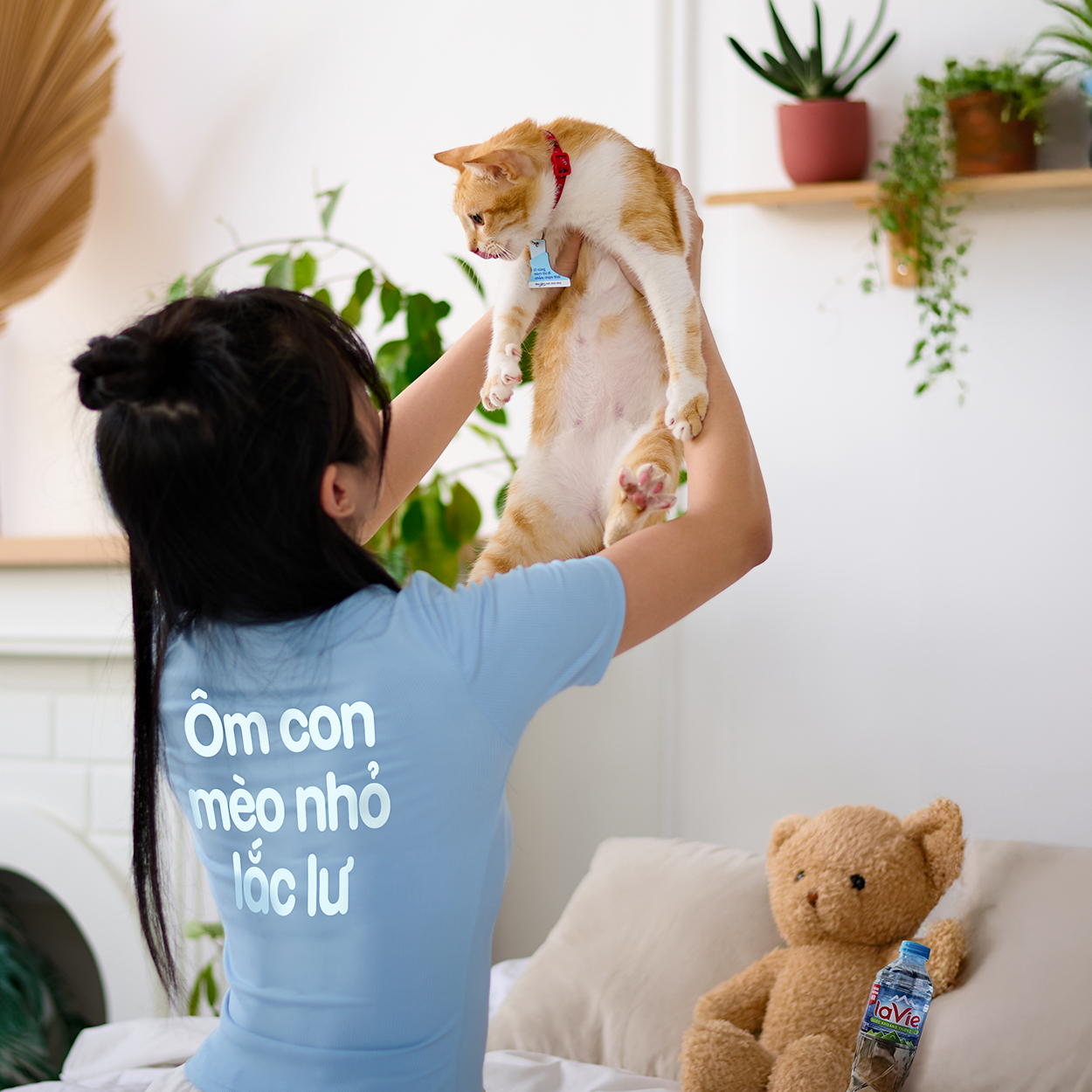Ôm con mèo nhỏ lắc lư