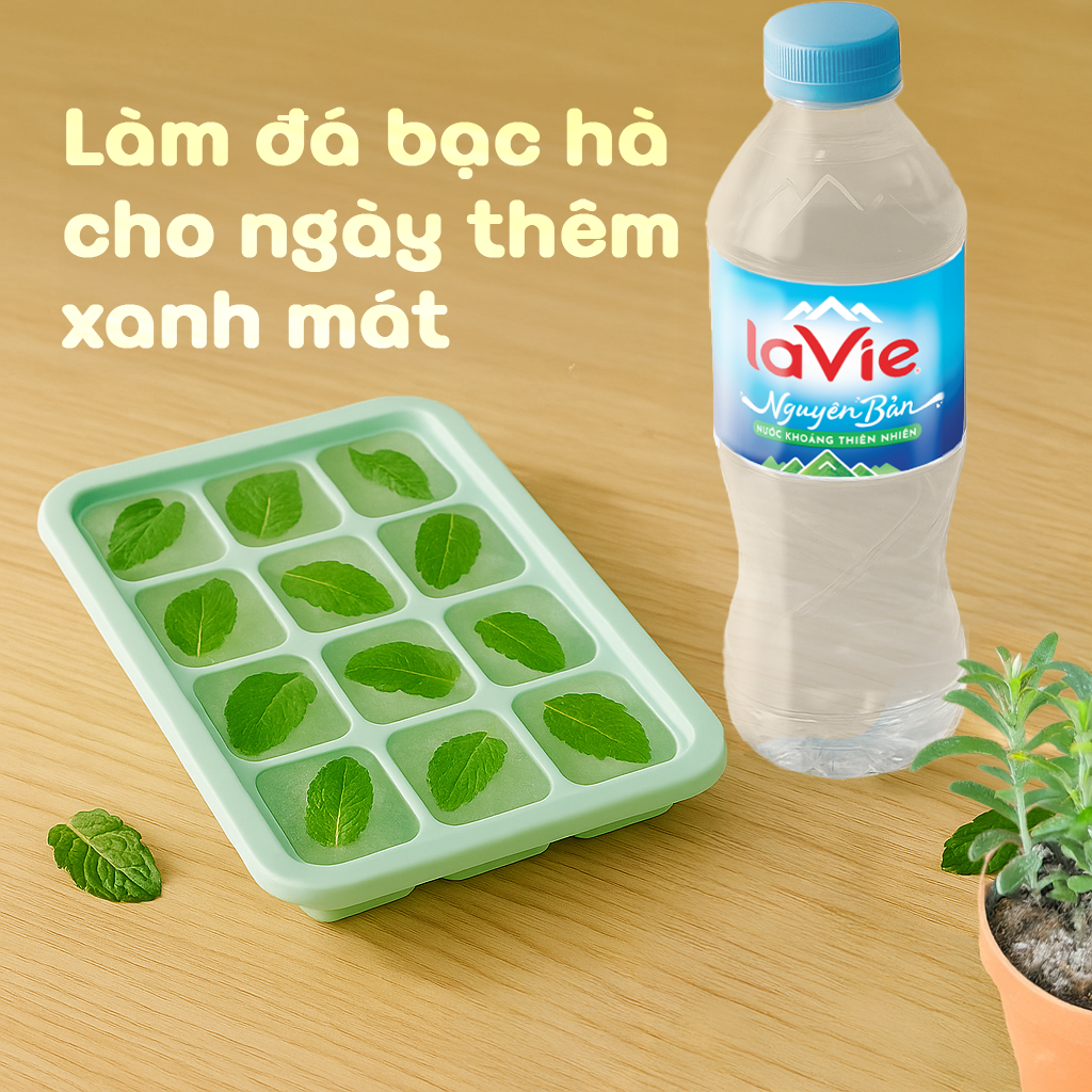 Làm đá bạc hà cho ngày thêm xanh mát