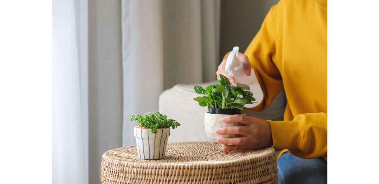 Dọn dẹp đồ đạc, sắp xếp tâm trí